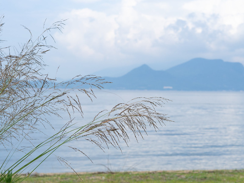Teshima Island, Demi Fang 2022